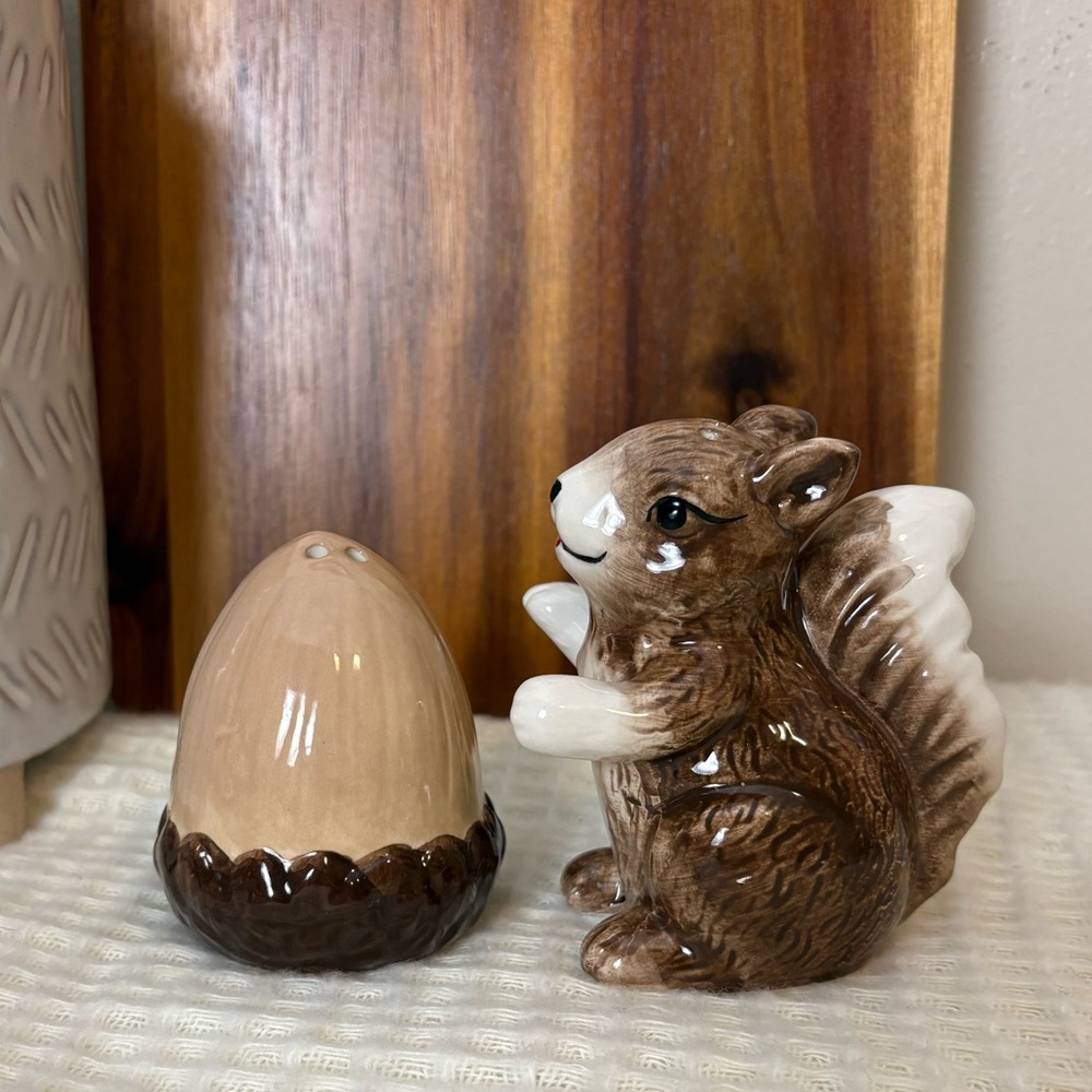 Squirrel And Nut Salt-Pepper Shakers NWT Collectible Nature Farmhouse